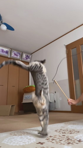 運動神経抜群のさくらくん