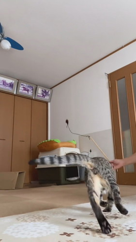 運動神経抜群のさくらくん