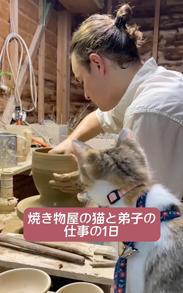 焼き物屋の猫と弟子の1日