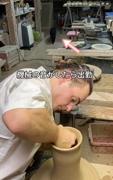 焼き物屋の猫と弟子の1日
