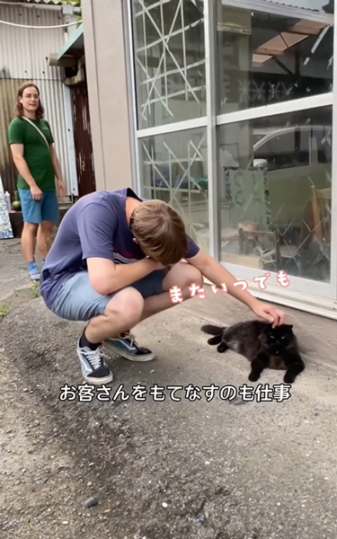 焼き物屋の猫と弟子の1日
