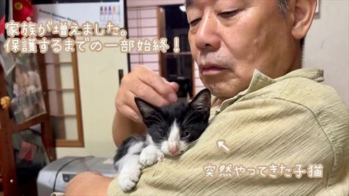 1匹で玄関までやってきたようでしたテロップ