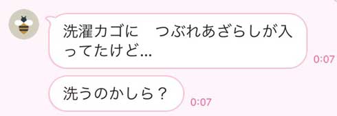 親 LINE つぶれあざらし 洗濯かご ぬいぐるみ アザラシ 言い回し 表現 呼び方 母