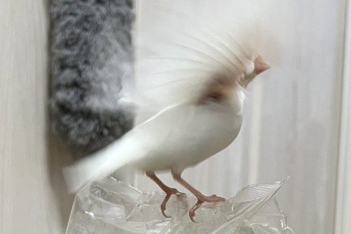 おすすめ