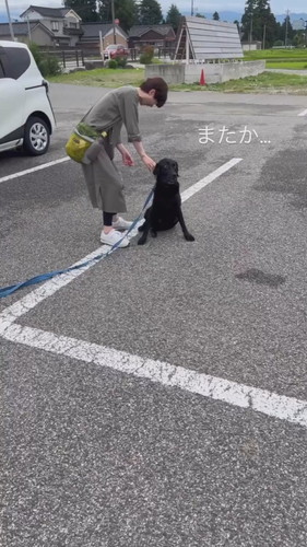 オヤツフェイントで乗車