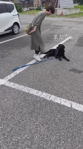 オヤツフェイントで乗車