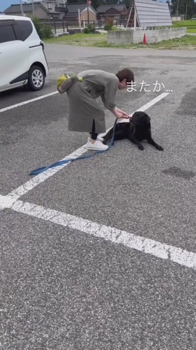 オヤツフェイントで乗車