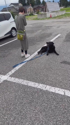 オヤツフェイントで乗車