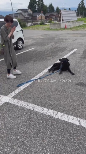 オヤツフェイントで乗車