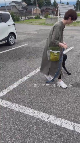 オヤツフェイントで乗車