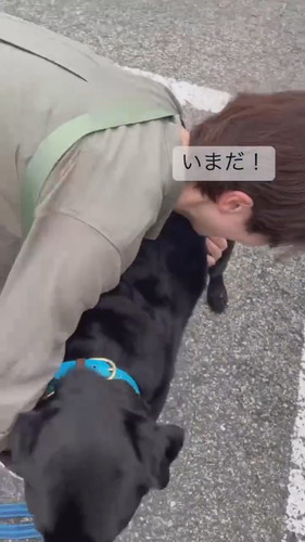 オヤツフェイントで乗車