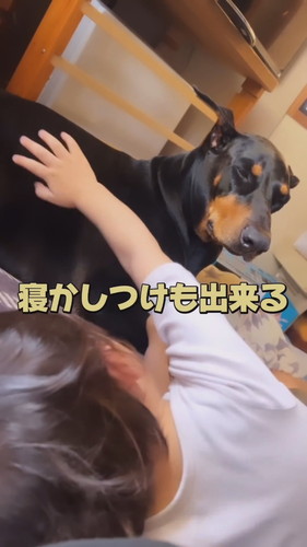 「犬と共に育つとこうなった」