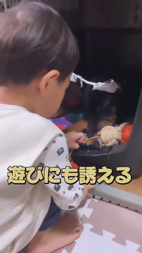 「犬と共に育つとこうなった」