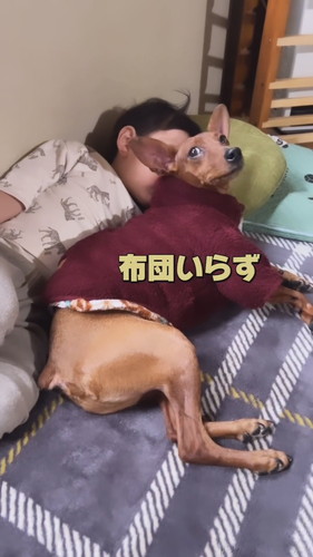 「犬と共に育つとこうなった」