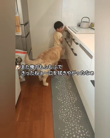 また俺のもふもふで