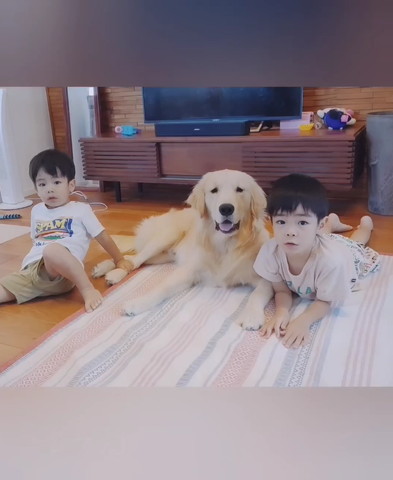 男の子と並ぶデカワンコ