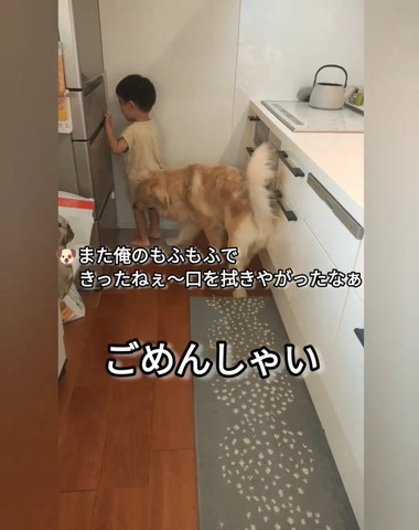 冷蔵庫の方を向く男の子