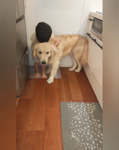 後頭部座れるワンコ