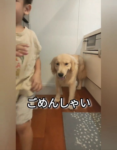 走っていく男の子を見るワンコ