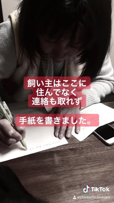 土佐犬との出会い