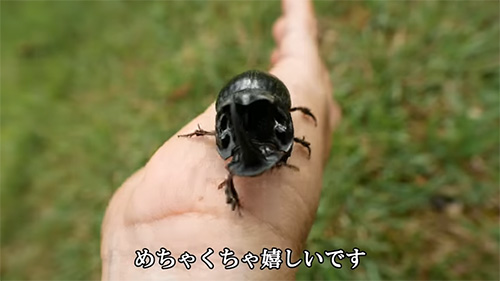 めちゃくちゃうれしい