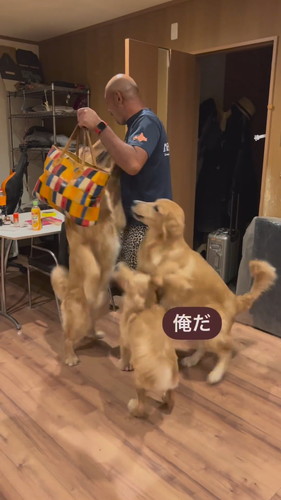 パパの帰りを喜ぶワンコたち