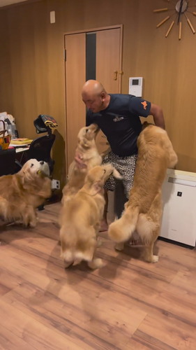 パパの帰りを喜ぶワンコたち