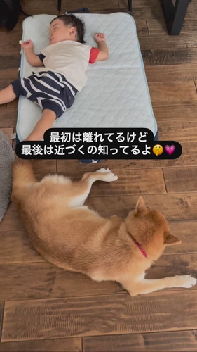 おすすめ