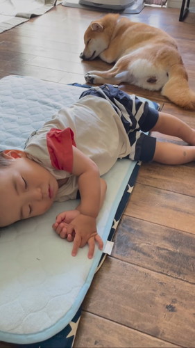 一緒にお昼寝