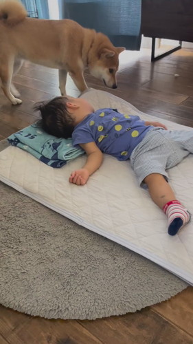 おいもちゃん