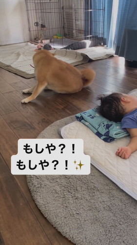 おいもちゃん