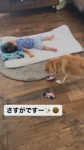 おいもちゃん