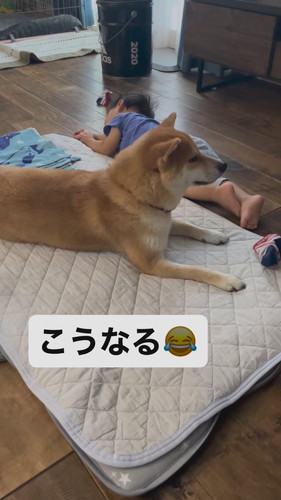 おいもちゃん