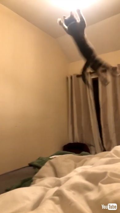 空中にジャンプするが失敗