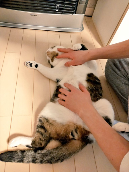 ストーブを独り占め