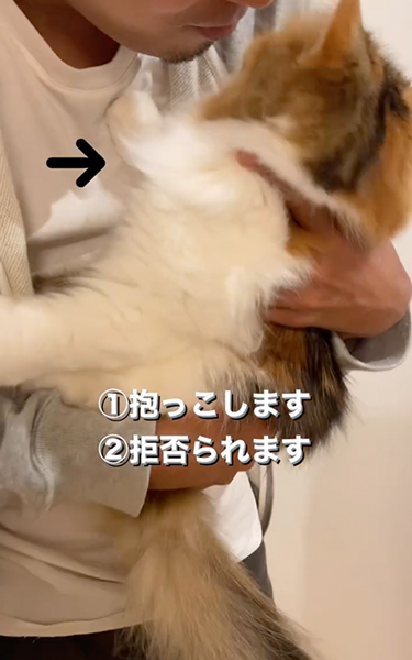 態度が急変する猫
