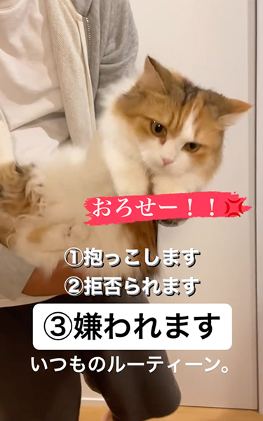 態度が急変する猫