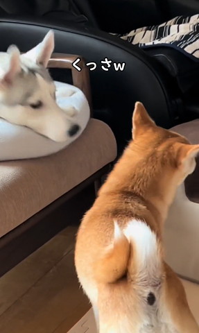 くっさテロップ