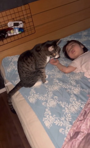 ベッドでお座りしてる猫