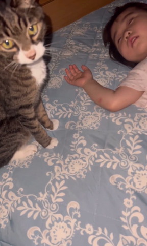 猫と寝てる子どもアップ