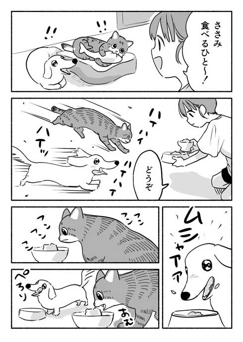 ねことボン