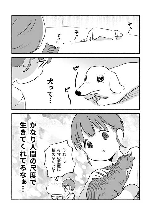 ねことボン