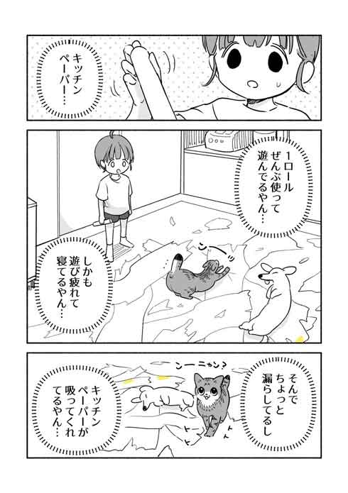犬猫漫画