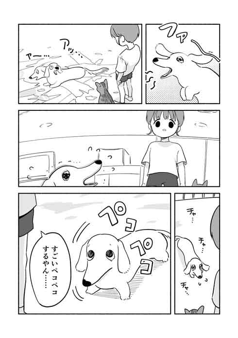 犬猫漫画