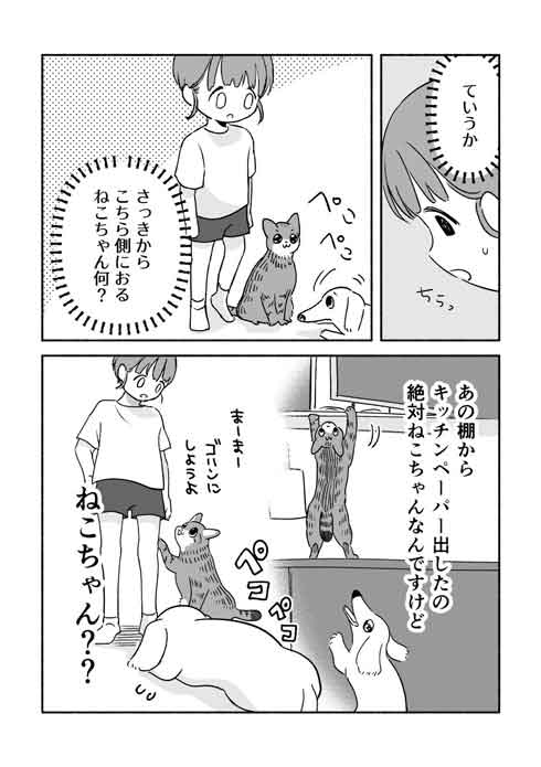犬猫漫画