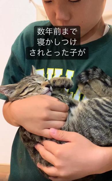 猫ちゃんを寝かしつける男の子