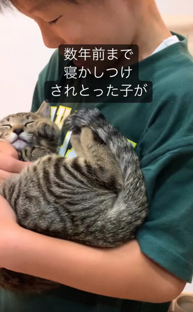 眠っている猫ちゃんを見てかわいいと漏らす男の子