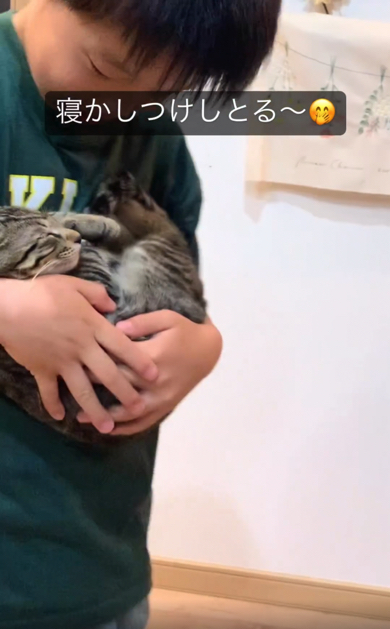 そっと猫ちゃんを包み込む男の子