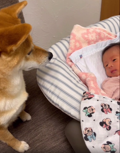 おすすめ