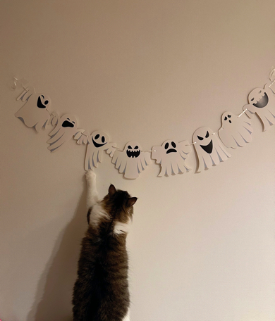 おばけに猫パンチするノルウェージャンフォレストキャット